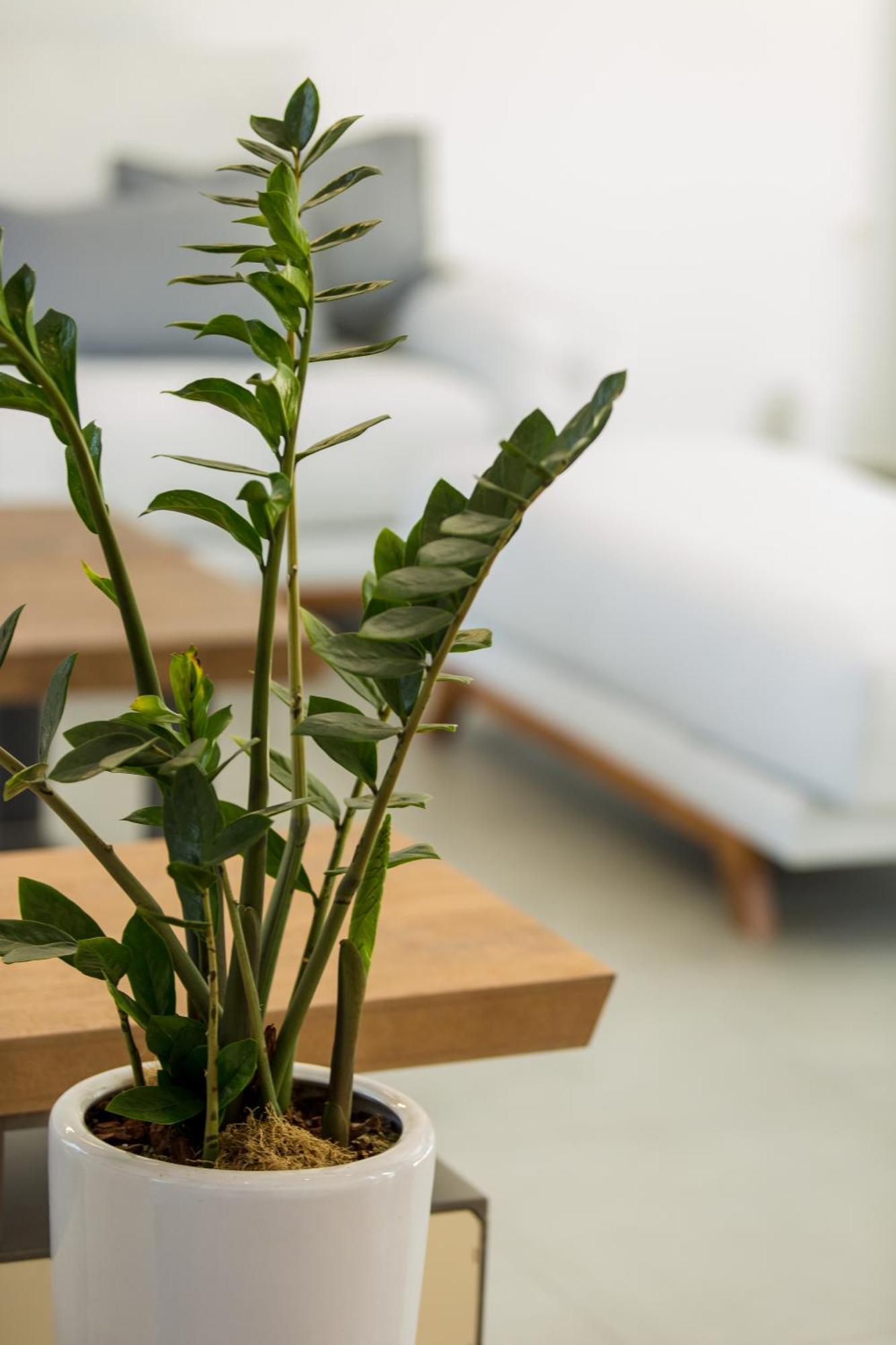 Vilana Exclusive Villas Skouloufia Ngoại thất bức ảnh